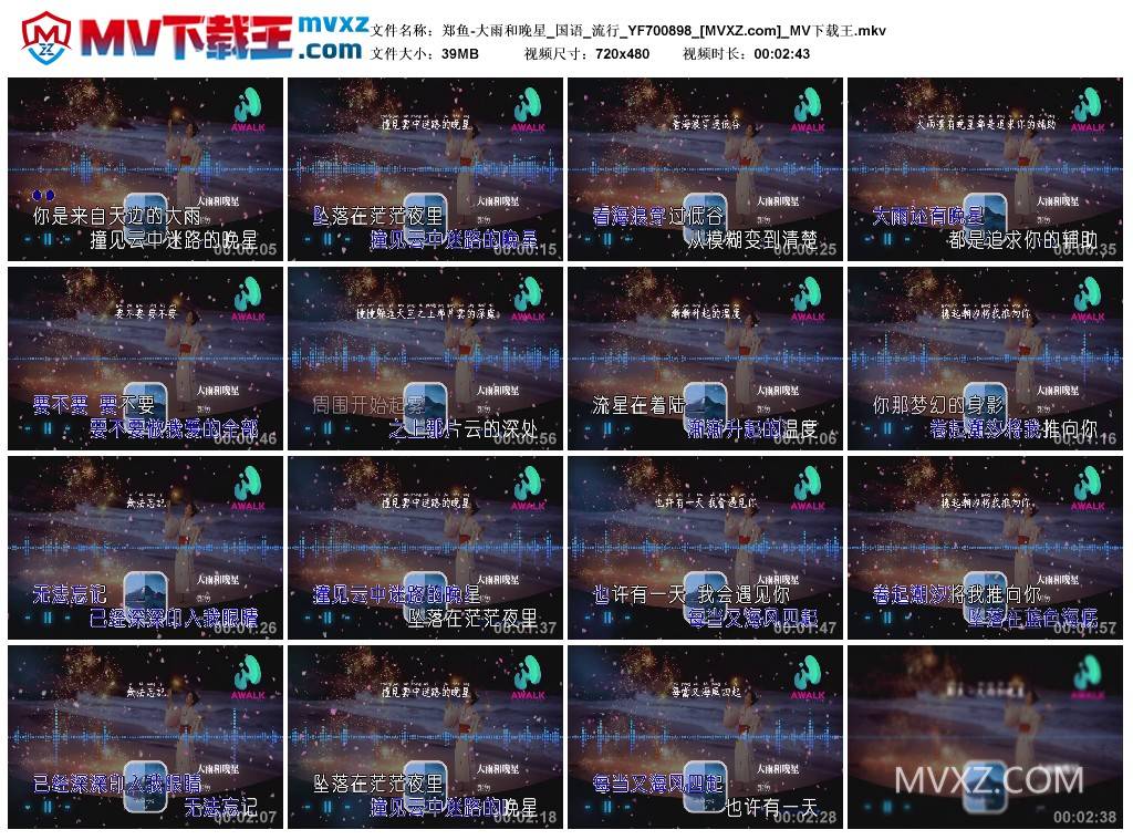 郑鱼-大雨和晚星_国语_流行_YF700898